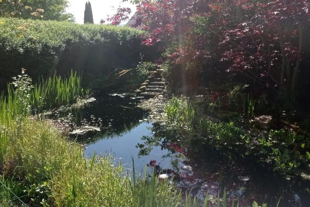 Ruhige Ferienwohnung Im Hunsrueck Hungenroth Bagian luar foto